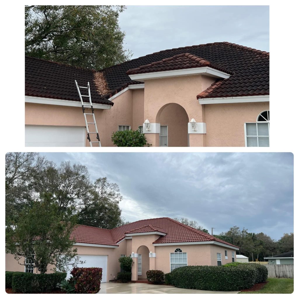 Roof cleaning before and after